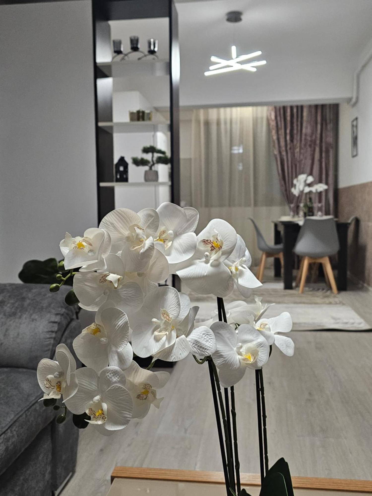 Enjoy My Home Near Palas Mall 2 Iasi Buitenkant foto